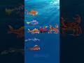 Hungry Shark Evolution gameplay king shark hungryshark 