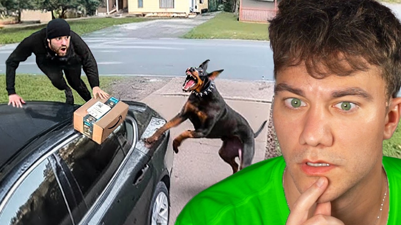 KDYŽ ZLODĚJI DOSTALI LEKCI OD HLÍDACÍCH PSŮ