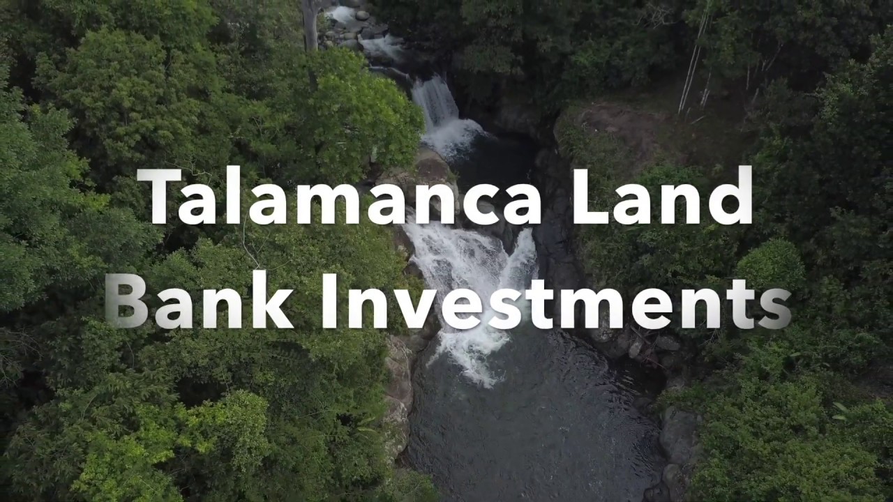 Land bank properties YouTube