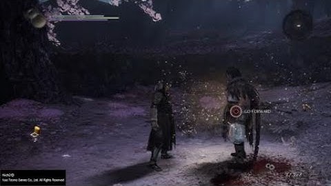 Nioh 2 Claws/Fists Weapon Mastery