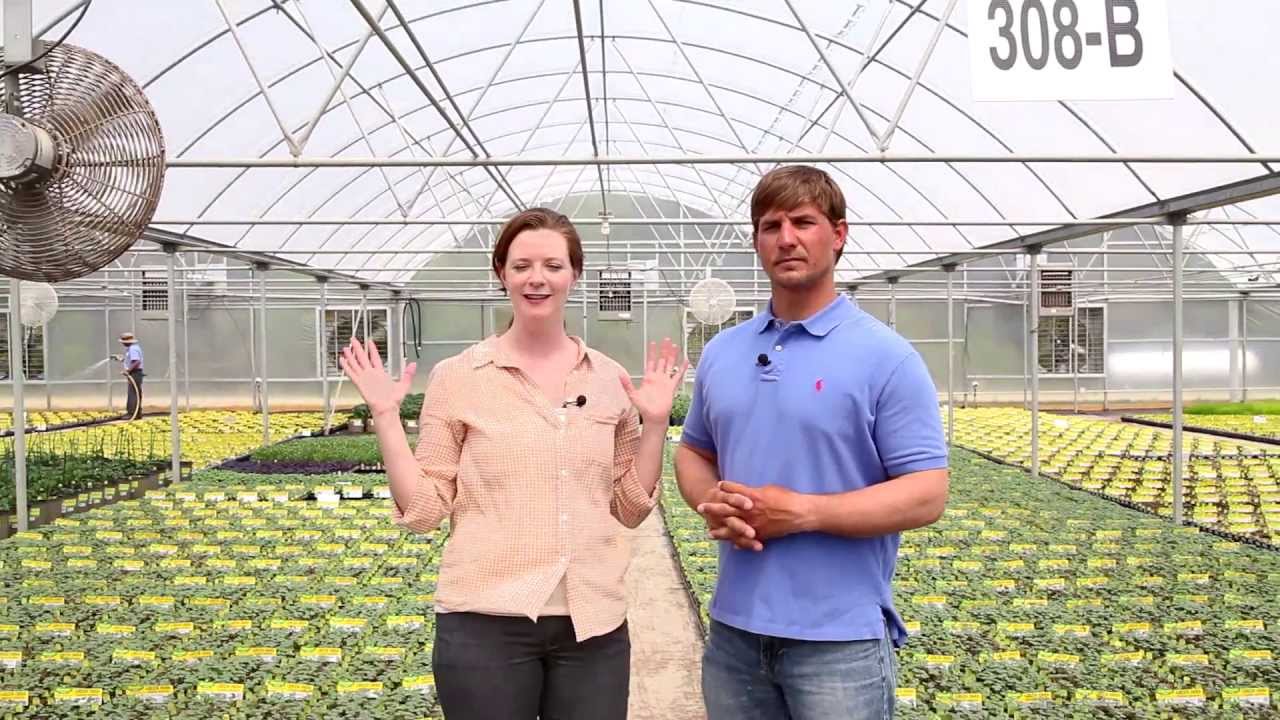 Bonnie Plants Helps Keith Poche Plan His Garden YouTube