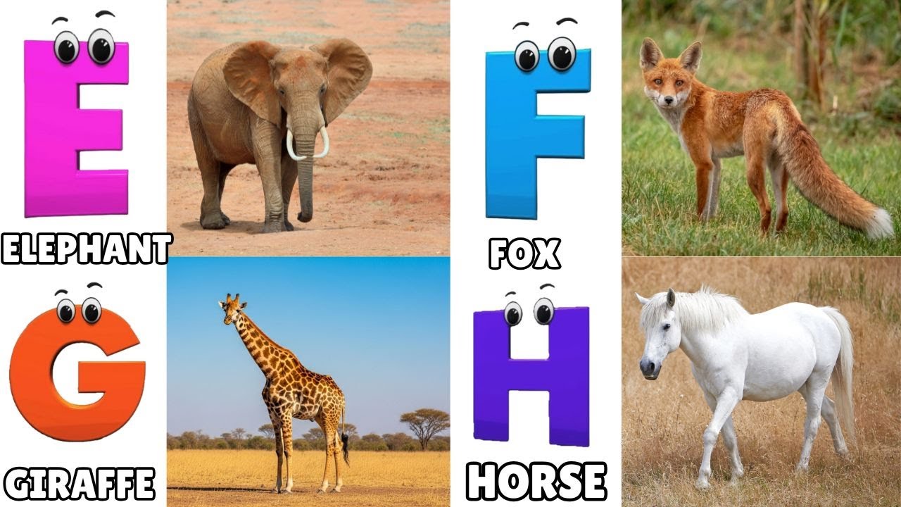 Alphabet Animals Song | Learn the ABC Alphabet Animals Song for Kids ...