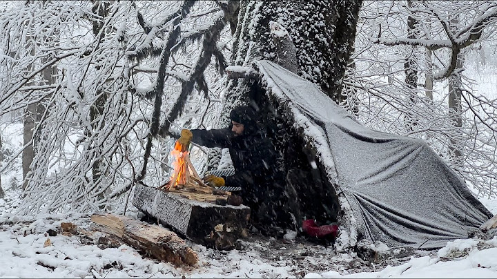 No tent, No sleeping bag - Extreme Winter Survival Camping (-5C )