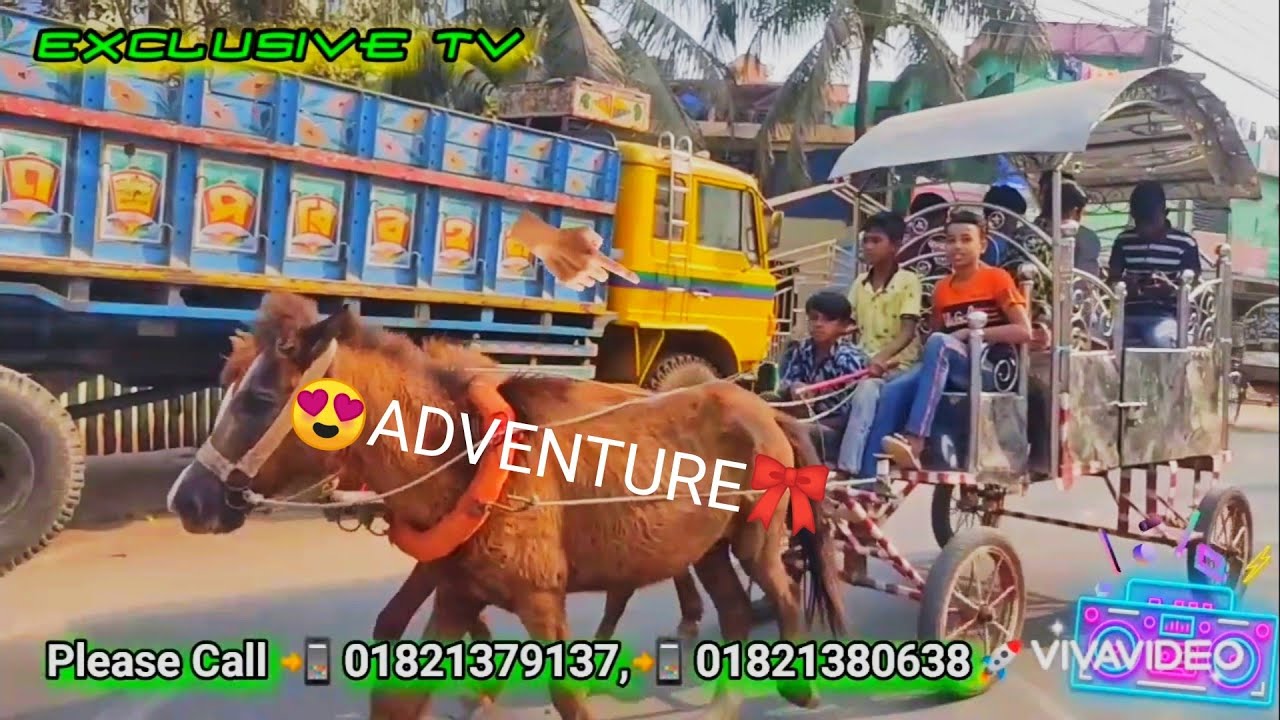 Adventure Of Super Dream মায়ের দোয়া স্পেশাল ঘোড়ার গাড়ি🙋‍♂️ভাড়া দেওয়া হয়💐