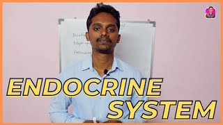 Endocrine System | Hormones | Tamil