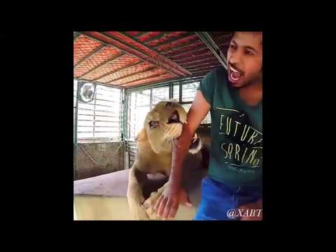 Prince in Dubai with his Lion game 2018#2