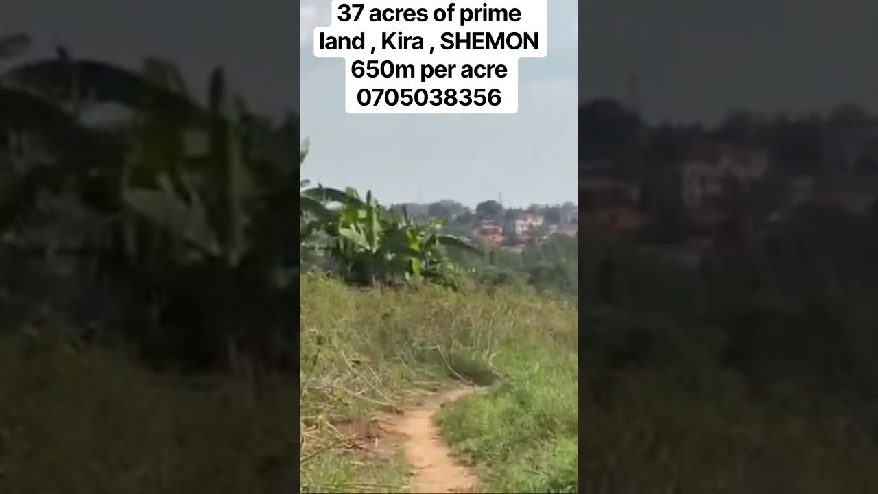 🔥🔥 37 Acres of Prime Land for Sale in Kira Shemon! 🔥🔥