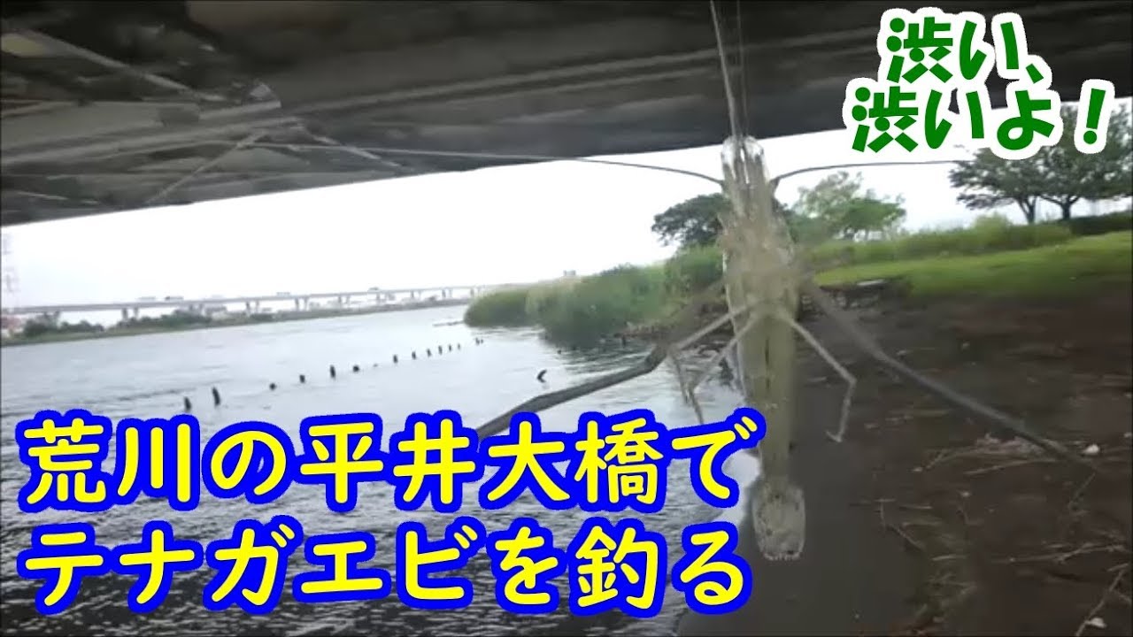 多摩川大橋でテナガエビ釣り 生ハムはエサとして使えるのか検証 Youtube