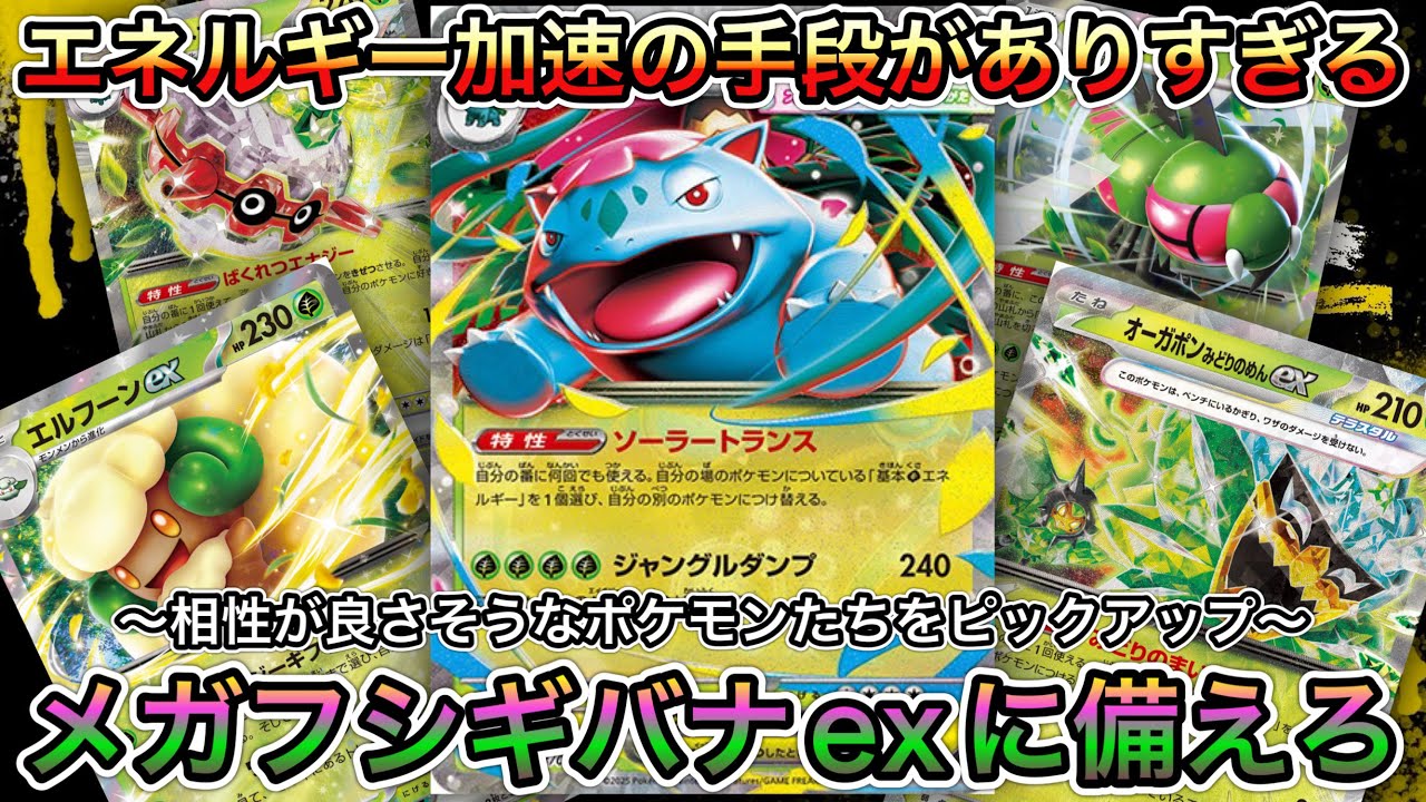 1619【ポケカ】メガフシギバナexと相性の良さそうなポケモンを