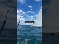 Sunday Funday on Matt&#39;s boat Alchris #boatingonabudget #boatlife #setsail #northsea #northseasailing