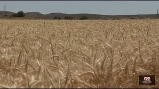 USDA will begin supplementing farmers impacted by trade disputes