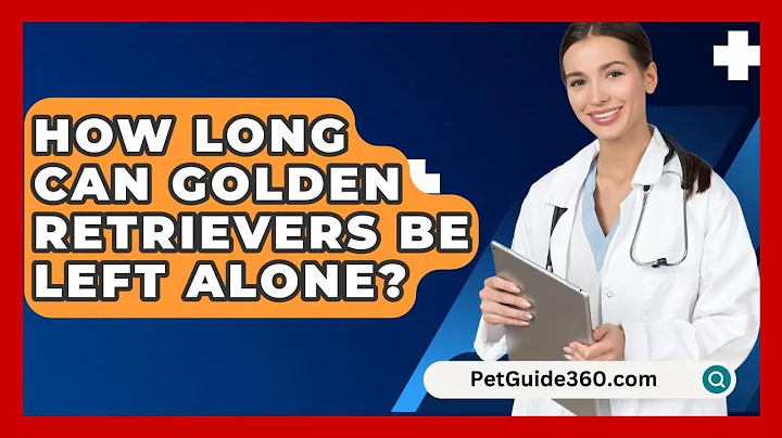 How Long Can Golden Retrievers Be Left Alone? - PetGuide360.com