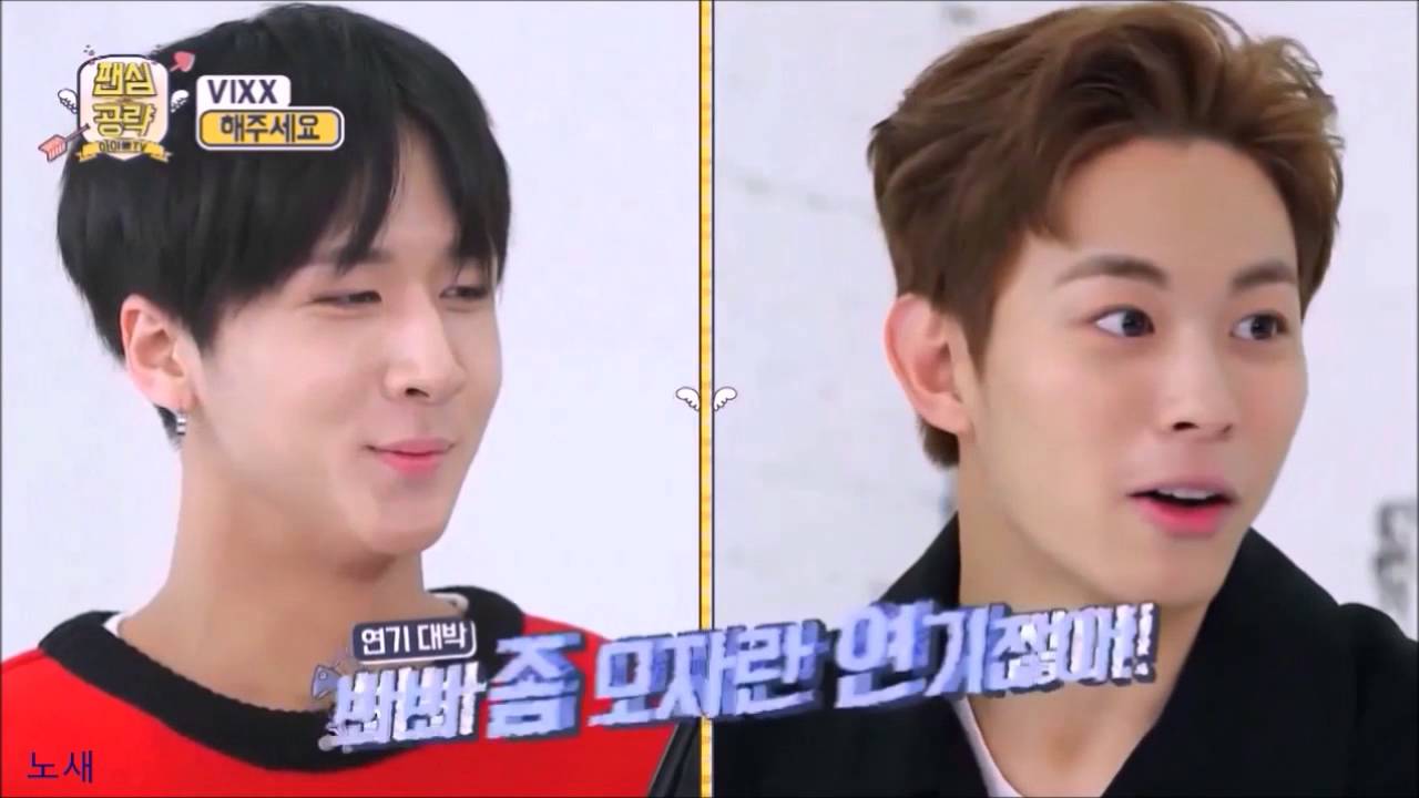 빅스)빅스 그림 홍빈의 인간미 넘치는 콩침모음