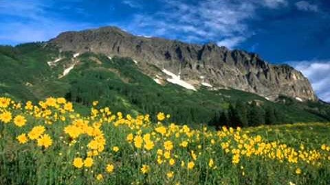 سورة المطففين للشيخ أبو عبد الله محمد النونان 1433