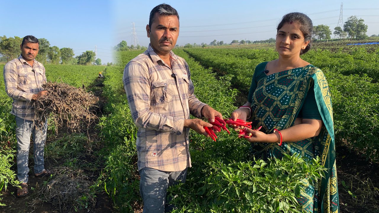 આવી નુકસાની તો ખેડુત ગળકારે નય