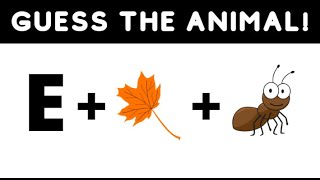 Can You Guess The Animal From The Emojis?