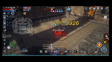 Crit|Bash Boosts x EVA Build Warrior. #mir4