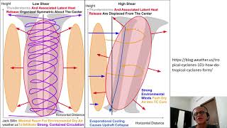 7 Vortex Evolution and Vertical Shear