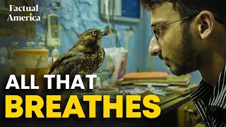 All That Breathes (2022 Film) | HBO Documentary - YouTube
