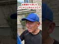 【植木屋の日常】抜根作業！あれ抜きたかったな〜〜悔しわw