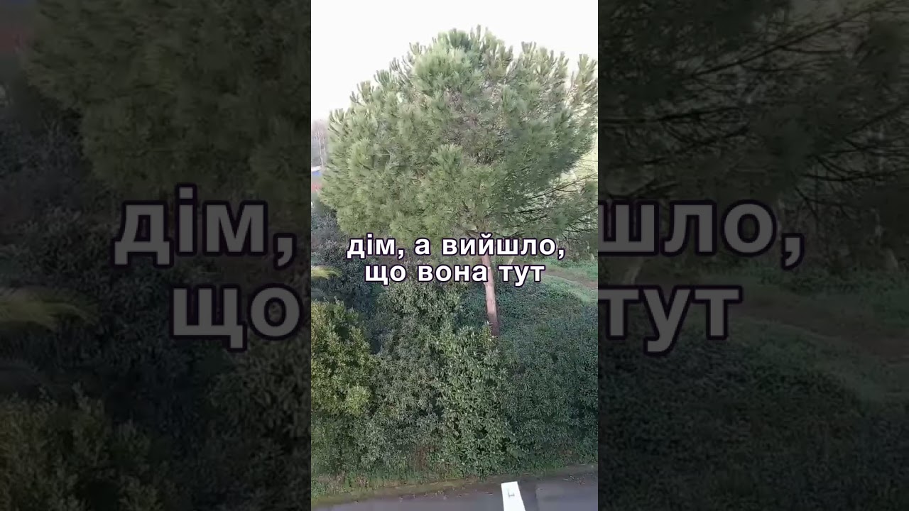 Приїхала з заробітків додому, а там сваха господарює