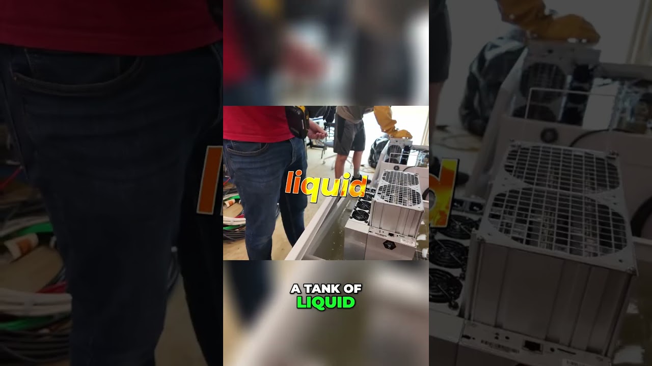 Гидромайнинг против иммерсионного майнинга: объяснение майнинга биткоинов 