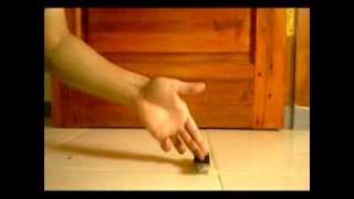 Just some fingerboard tricks [flatground trick]