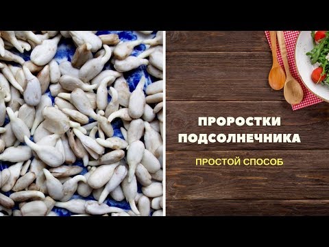 🌻 ПРОРАЩИВАНИЕ СЕМЕЧЕК ПОДСОЛНУХА (очищенных) | Простой способ проращивания семян подсолнечника