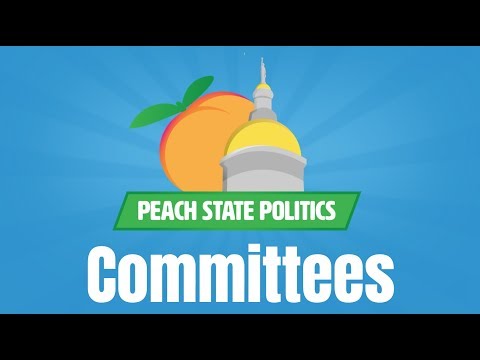Video: Kokiuose komitetuose dirba kiekvienas įstatymų leidėjas?