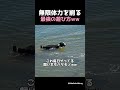 散歩じゃ無理だから海に投げたら…イルカ化するボーダーコリーの体力がバケモノすぎるww #ボーダーコリー #犬のいる暮らし
