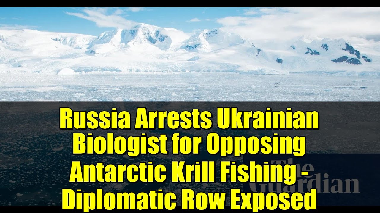 Russia Arrests Ukrainian Biologist for Opposing Antarctic Krill Fishing - Diplomatic Row Exposed