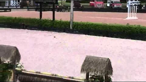 Video of LILLY ridden by KRISTA HUNTER from ShowNet!