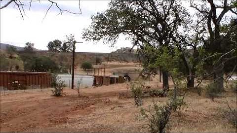 Gregg and Bob, Tehachapi Pass, more Rail Fanning.