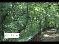 徳永英明 ( my life ) Cover