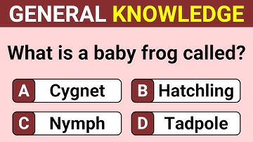 How Sharp Is Your General Knowledge? | Only True Geniuses Get a Perfect Score! Trivia Quiz 97