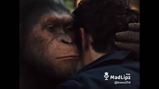 Nataka Nyapu-  Planet of the apes 2021