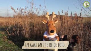 Xavier De Ree App - Wedstrijd