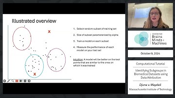 Identifying Subgroups in Biomedical Datasets using Data Attribution