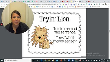 Decoding Strategies for Beginning Readers