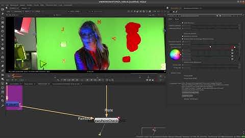 AndrewsPaintCheck - Nuke Gizmo - Demo