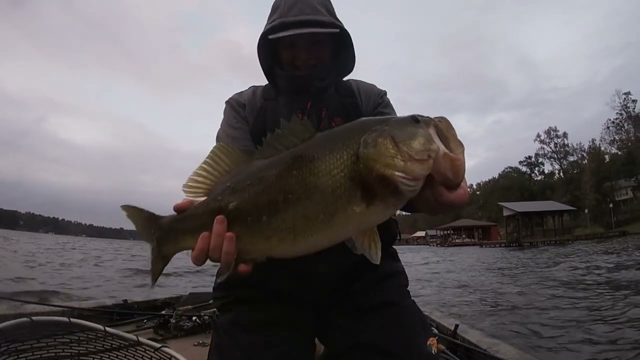 Fun night on the lake (big bass)!!!!!