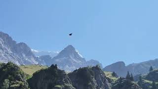 Adrenaline Rush: Wingsuit BASE Jump Close Flyby from Middle Melkstuhl Switzerland (NSFW language)