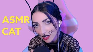 Catgirl Asmr Purrs That Will Make You Tingle 