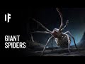 What If Spiders Were the Size of Humans?