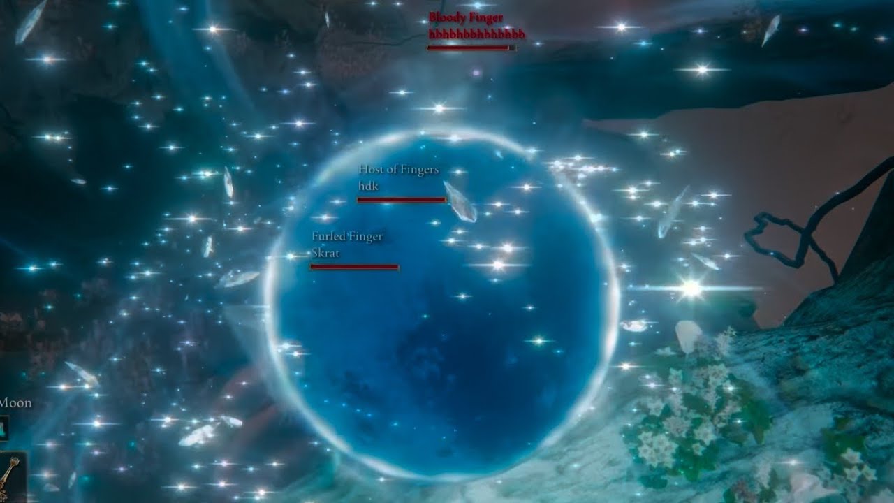 When They Say You Can't Use Ranni's Dark Moon in PVP ... Elden Ring