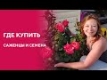 Где купить саженцы, семена цветов на 2021 год | Контрольная закупка #1