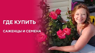 Где купить саженцы, семена цветов на 2021 год | Контрольная закупка #1