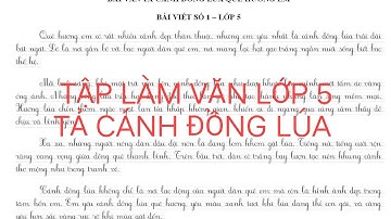 TIẾNG VIỆT 5 || TẢ CÁNH ĐỒNG LÚA QUÊ HƯƠNG EM.