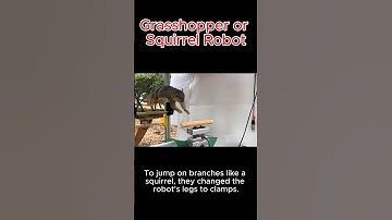 Small Jumping Robot Inspired by Nature | Grasshopper & Squirrel-Inspired Robotics #robot #ai