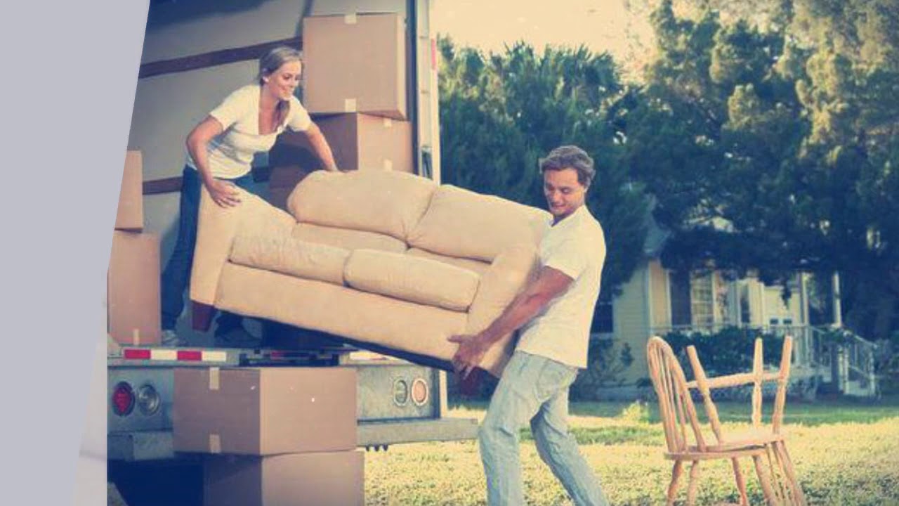 Pros and Cons of Interstate Moves Sydney to Sunshine Coast